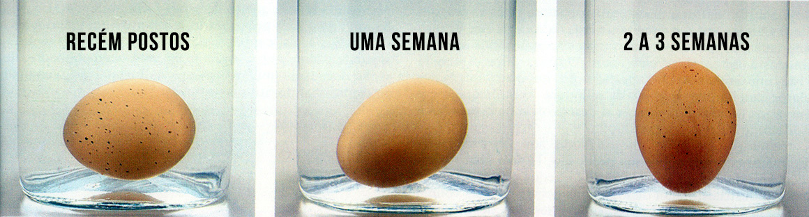 Ovo De Galinha Um Ingrediente B sico Na Cozinha COMUDSABER